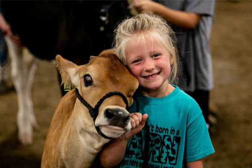 Hartford Fair 2022 Schedule The Hartford Fair | The Biggest Little Fair In The World